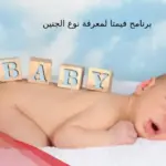 برنامج فيمتا لمعرفة نوع الجنين