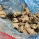 علامات خروج السحر من البطن