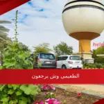 الطعيمي وش يرجعون.. عائلة الطعيمي من أي قبيلة