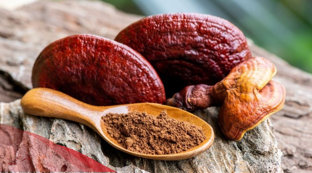 علاج الدهون الثلاثية بالاعشاب جابر القحطاني