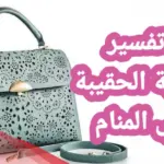 تفسير حلم الشنطة للحامل في المنام لابن سيرين