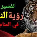 تفسير حلم نمر يلاحقني في المنام لابن سيرين