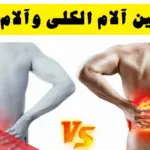كيف افرق بين الم الكلى والم العضلات