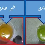 كيف اعرف اني حامل بالزيت … طريقة اختبار الحمل بالزيت