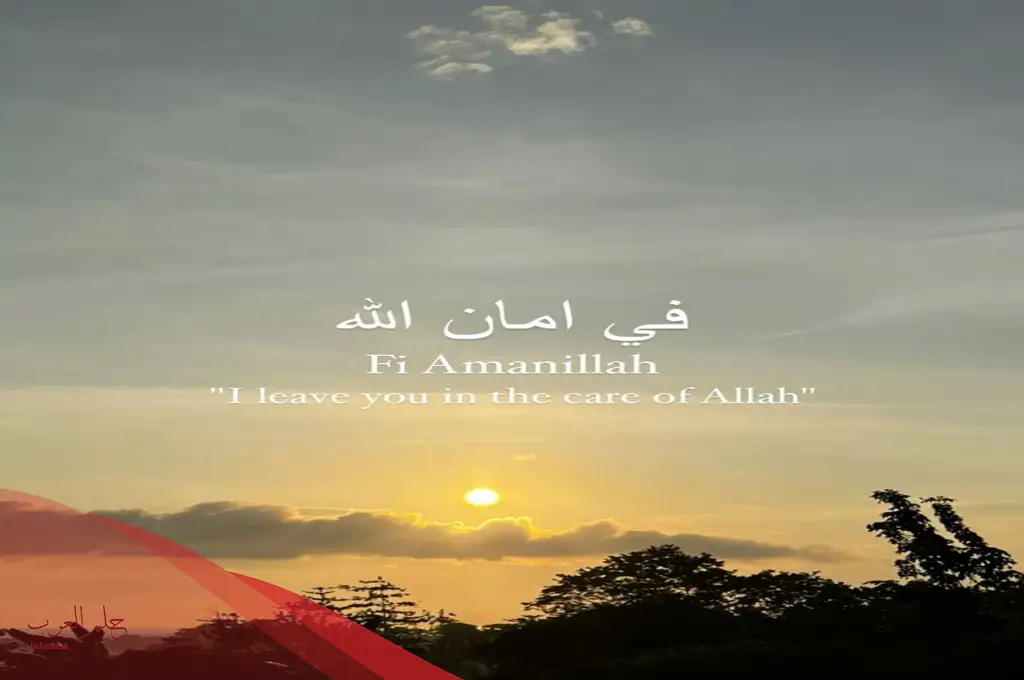 الرد على في امان الله .. اذا احد قالي في امان الله وش ارد