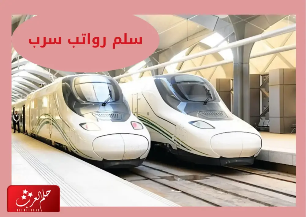 تجربتي معهد سرب .. المميزات والعيوب وسلم الرواتب