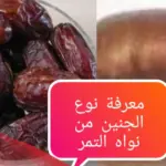 طريقة التمر لمعرفة نوع الجنين مجربة