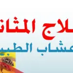 علاج التهاب المثانة بالأعشاب مجرب