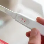 تحليل الحمل طلع خط c باهت، هل حمل؟