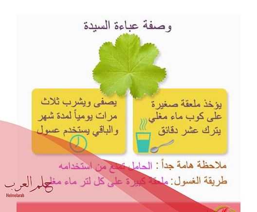 عشبة عباءة السيدة جابر القحطاني
