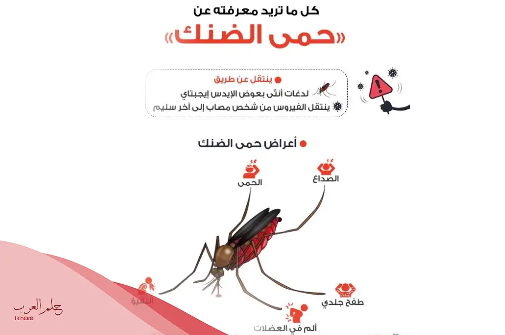 تجربتي مع حمى الضنك، طرق علاجها ومدة الشفاء