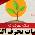 أسماء نبات بحرف ث الثاء