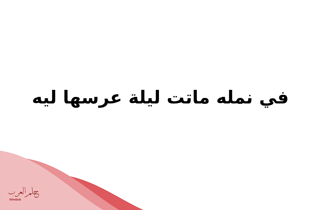 في نمله ماتت ليلة عرسها ليه