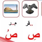 اسم نبات بحرف ص، 5 نباتات بحرف الصاد