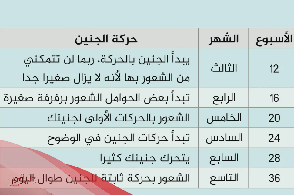 اين يكون الجنين في الشهر الخامس وكيف تكون حركته بالصور