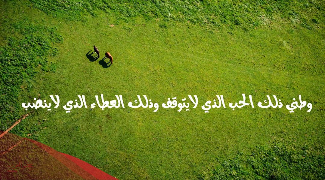 اذاعة مدرسية عن الوطن بالمقدمة والخاتمة والعناصر