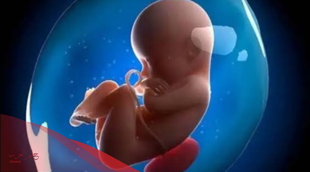 كيف نعوض نقص ماء الجنين بالاعشاب وما هي أعراضه وأسبابه