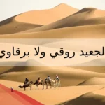 الجعيد روقي ولا برقاوي