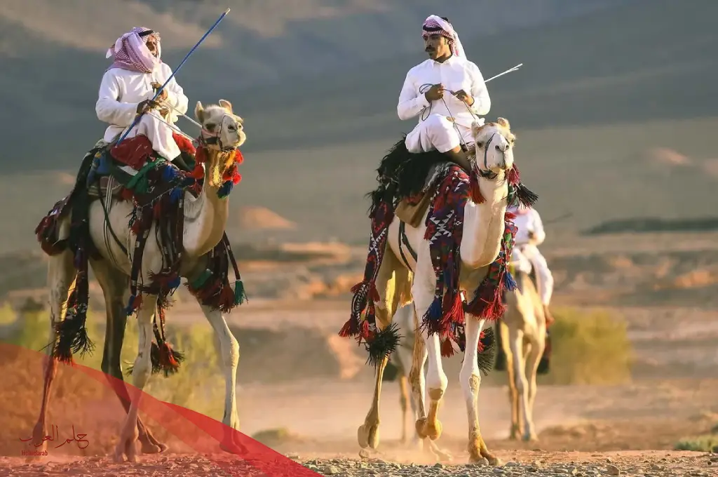 الجعيد روقي ولا برقاوي