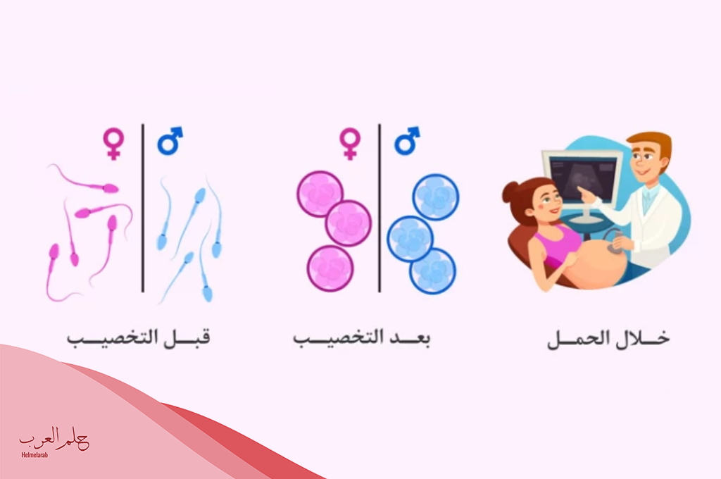 تكلفة تحديد نوع الجنين في الرياض