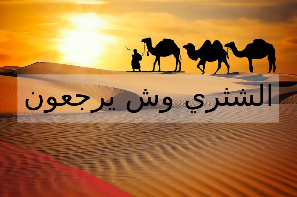 الشثري وش يرجعون اصل عائلة الشثري من وين؟