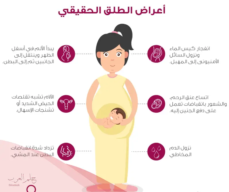متى يبدا مفعول الطلق الصناعي للبكر