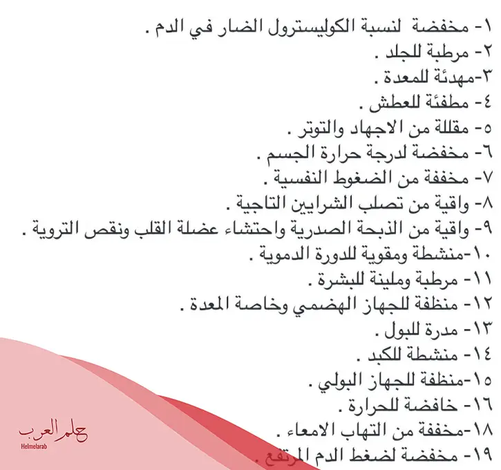 تجربتي مع قهوة الشعير وأبرز فوائدها