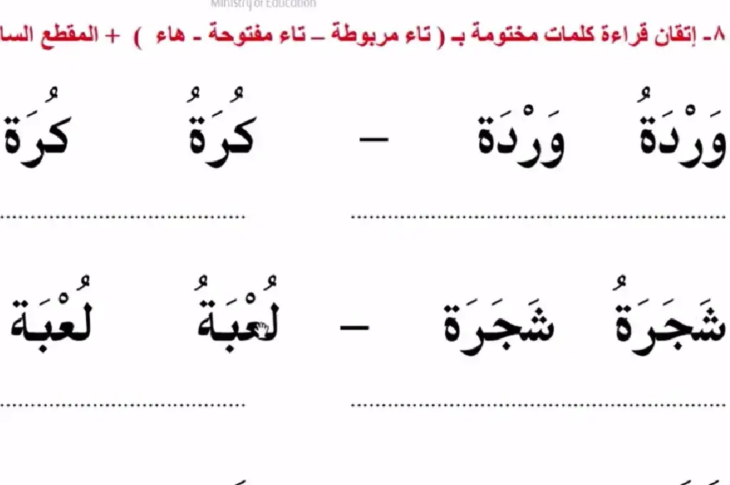 كلمات تنتهي بهاء مربوطة .. كلمات تنتهي بـ “ه” هاء (ه)