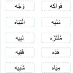 كلمات تنتهي بهاء مربوطة .. كلمات تنتهي بـ “ه” هاء (ه)