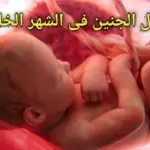 اين يكون الجنين في الشهر الخامس وكيف تكون حركته بالصور