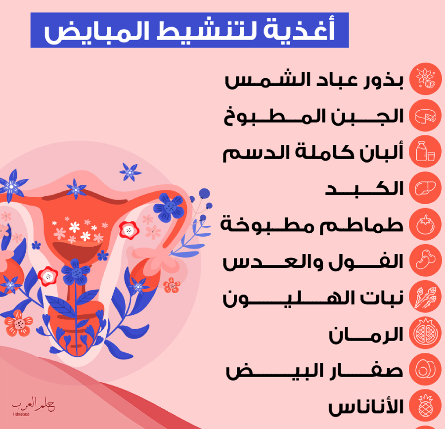 هل حبوب بريمولوت تنشط المبايض وما هي طريقة الاستخدام الصحيحة