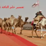 تفسير حلم الناقة تطاردني في المنام لابن سيرين والنابلسي للعزباء