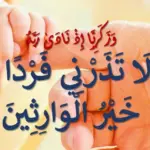 ربي لا تذرني فردا وانت خير الوارثين للحمل ما فضلها ومتى تقال