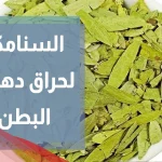 طريقة إستخدام حبوب السنا مكي لتنظيف البطن