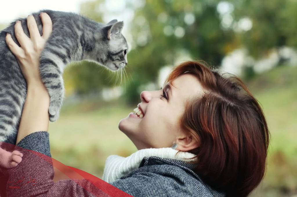 كيف تجعل القط يأتي اليك ولا تخاف منك