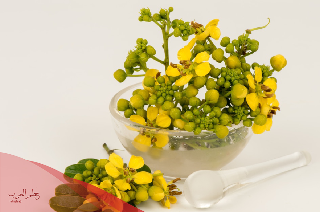 طريقة إستخدام حبوب السنا مكي لتنظيف البطن