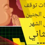 علامات توقف نبض الجنين في الشهر الثاني