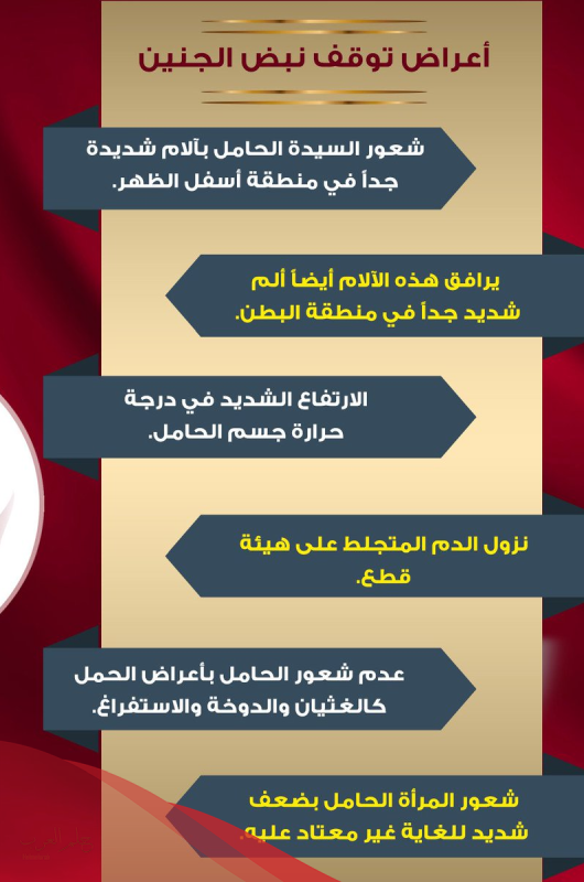 علامات توقف نبض الجنين في الشهر الثاني