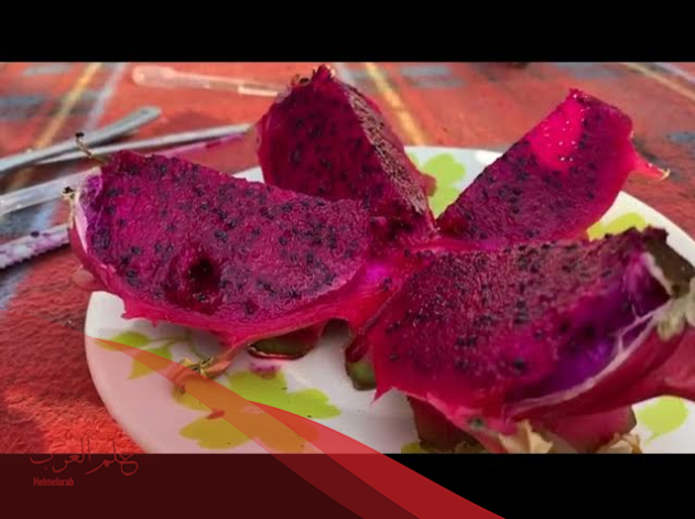 إسم فاكهة بحرف السين: 8 فواكه بحرف س