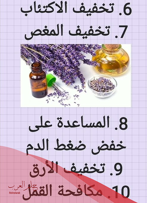 تجربتي مع الخزامى للتضييق وكيفية استعمالها