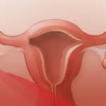 كيف اعرف عنق الرحم مفتوح او مغلق