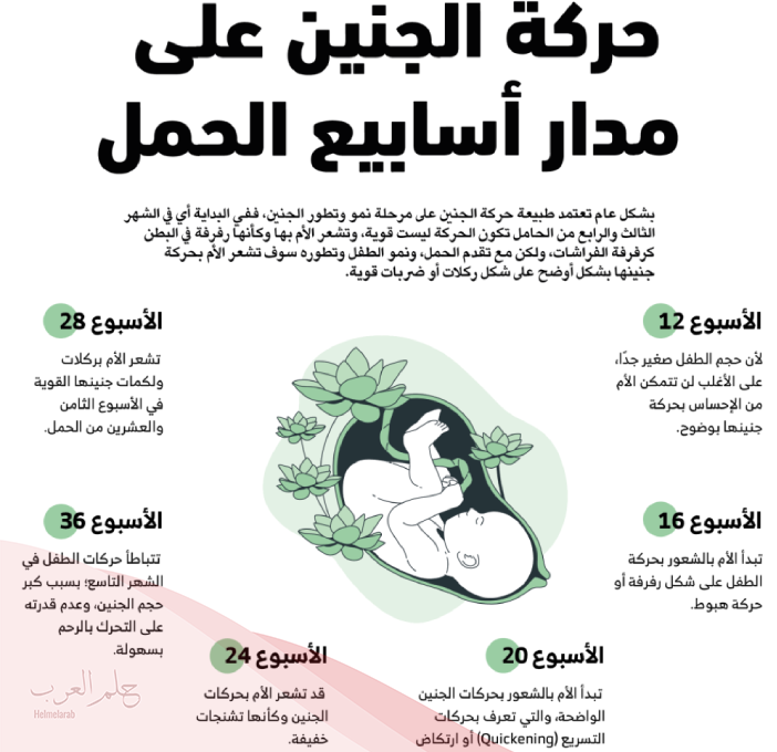 كيف اميز حركة الجنين من الغازات