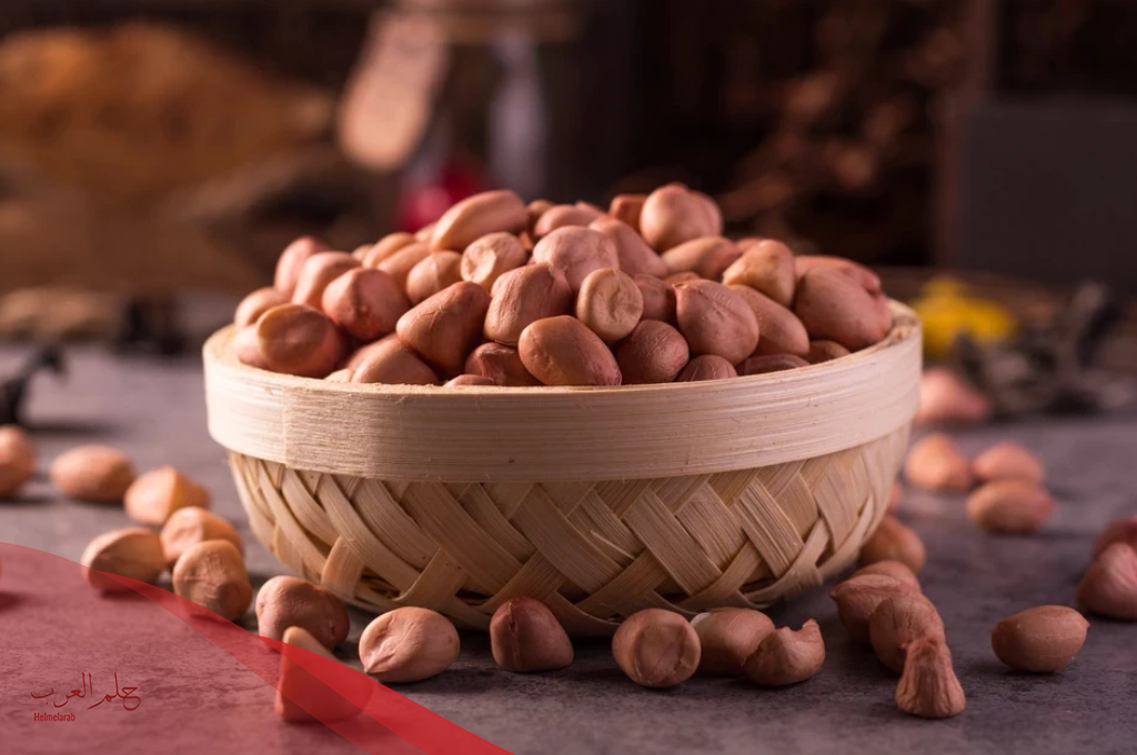حب العزيز للتسمين طريقة استخدامه وكم يزيد الوزن بأسبوع؟