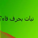 نبات بحرف الفاء: اسم 10 نباتات بحرف ف