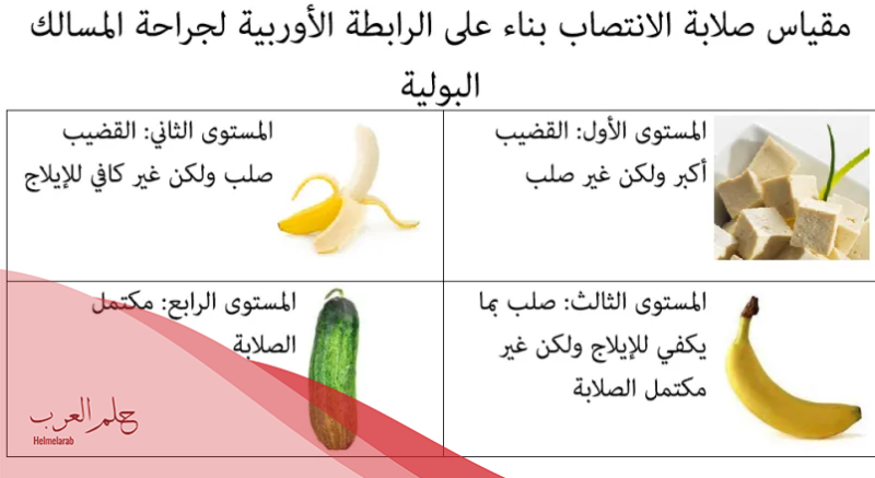 طريقة تكبير القضيب طبيعيا بسرعة بالثوم