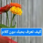 5 طرق للاعتراف بالحب بدون كلام