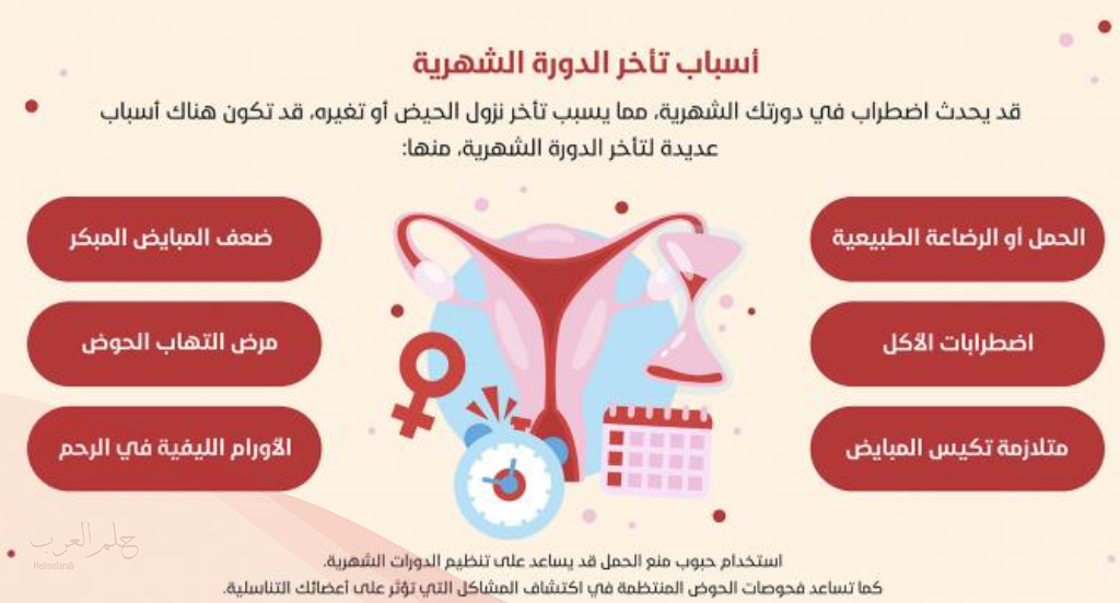 متى تنزل الدوره بعد شرب القرفه؟
