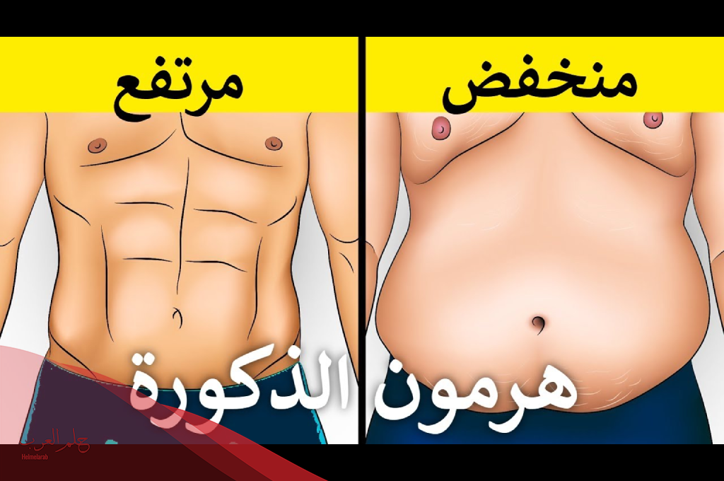 تجربتي مع نقص هرمون الذكورة: أسباب النقص وطرق العلاج تجربتي مع نقص هرمون الذكورة: أسباب النقص وطرق العلاج