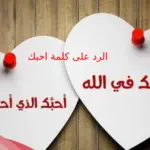 الرد على كلمة احبك