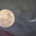 عبارات مساء العنبر ممكن النمبر روعة